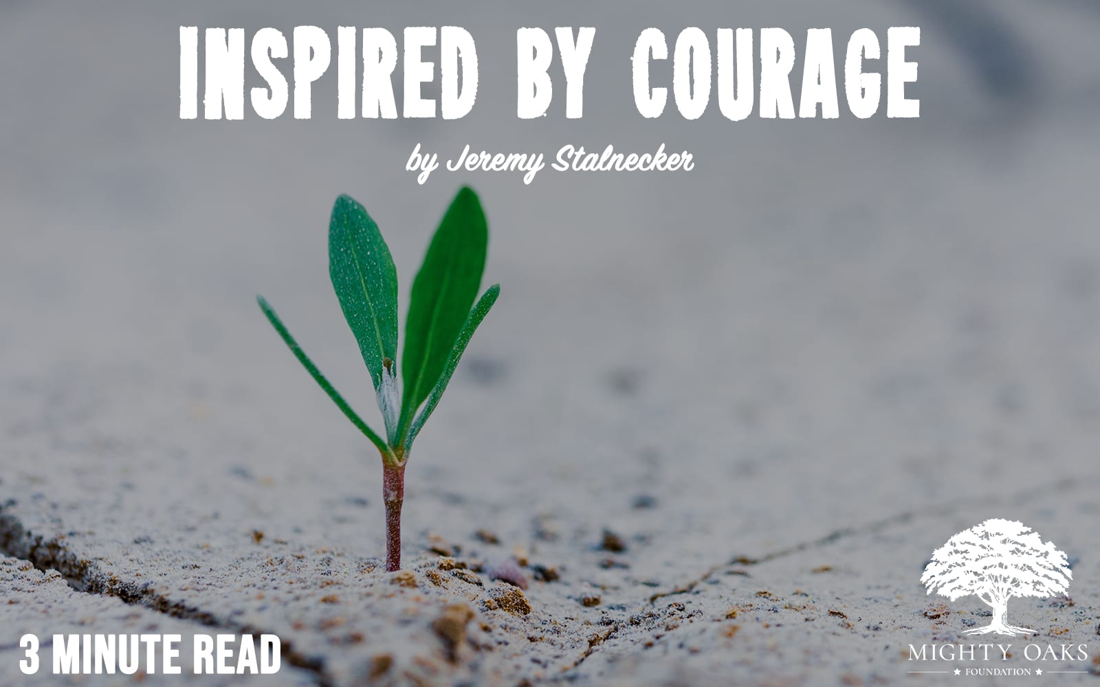 5 Top Examples of Courage. History has showcased several examples…, by Be  An Inspirer