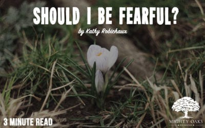 Should I Be Fearful?