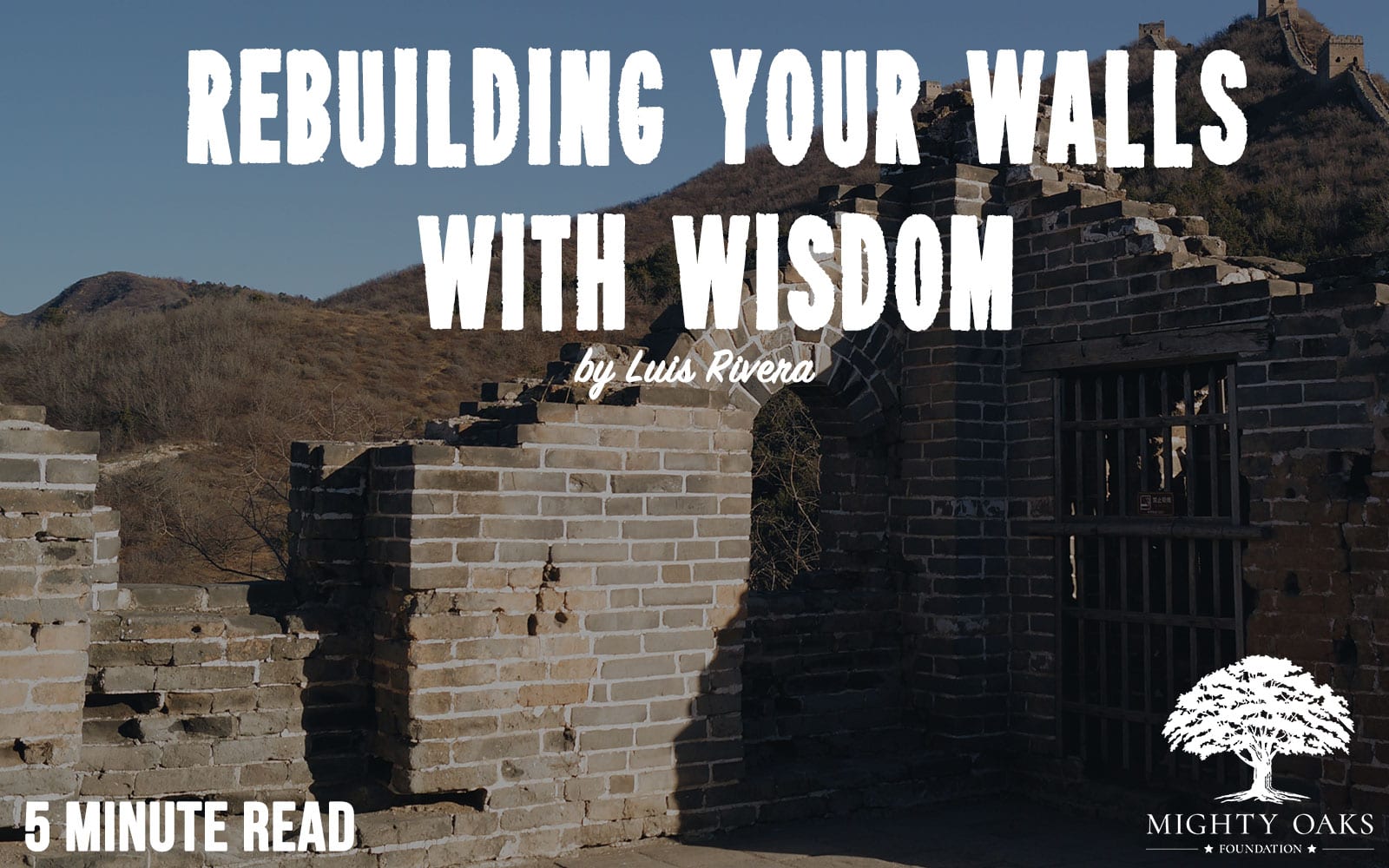 Rebuilding Your Walls With Wisdom Mighty Oaks Foundation