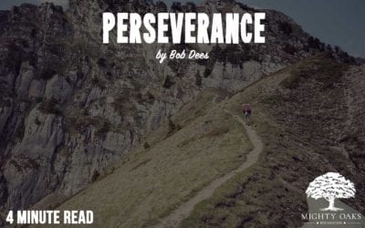 Perseverance