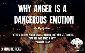 <b>Anger is a Dangerous Emotion</b>